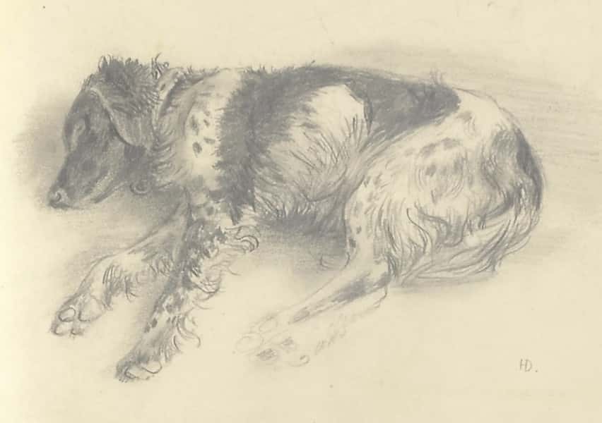 Hund Som Sover av Hannes Derlick