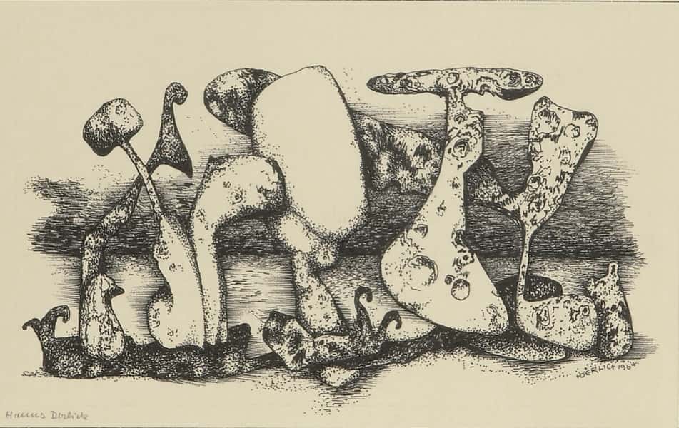 Morbide Former av Hannes Derlick