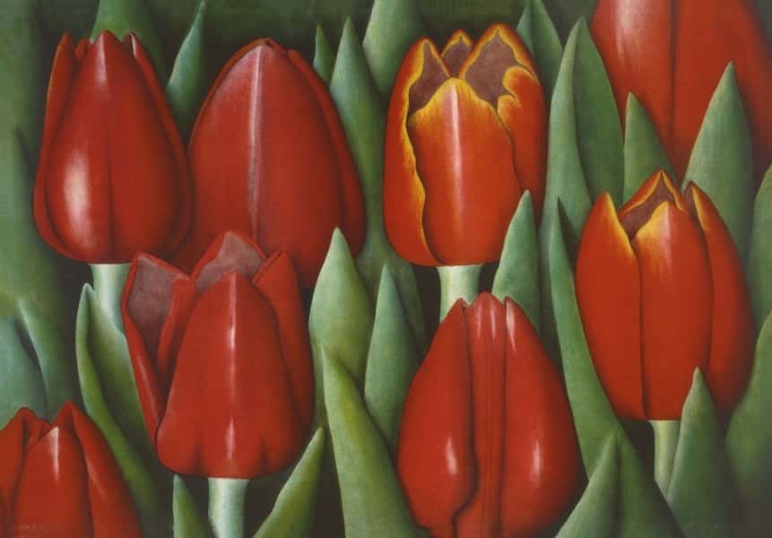 Røde tulipaner av Eva Bostrøm