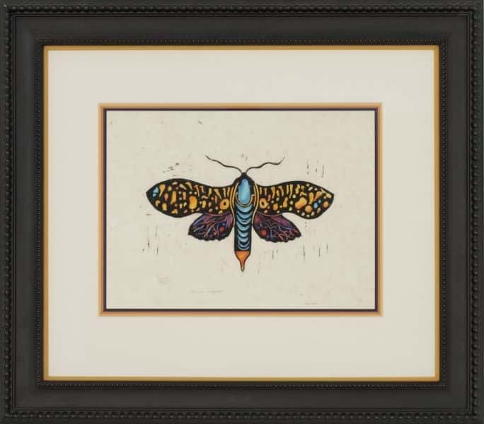 Cauocossus Auroguttana Butterfly av Linn Osnes