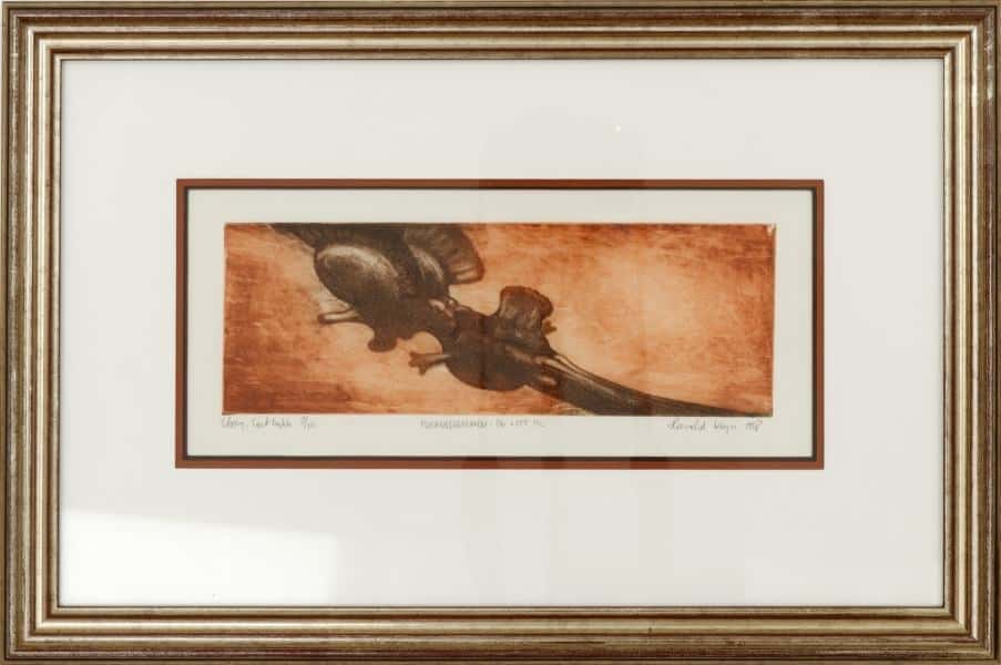 Hjernestammen og litt til av Harald Kryvi